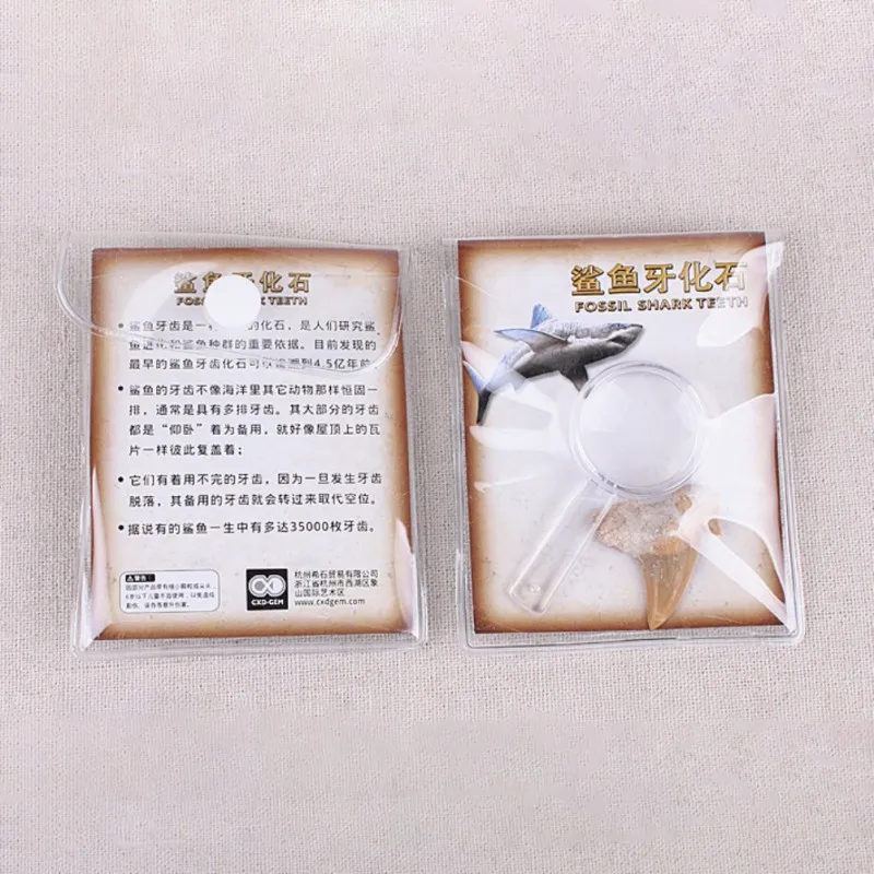 XOC3070 (6)