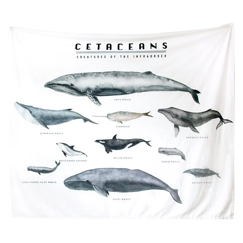 Wall Cloth Hanging Cloth Background Cloth INS Decoration Bedroom Home GIRL'S Room Dormitory Northern European-Style Hanging Clot
Wall Cloth Hanging Cloth Background Cloth INS Decoration Bedroom Home GIRL'S Room Dormitory Northern European-Style Hanging Clot