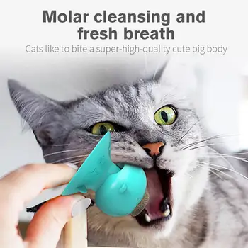 SOLEDI Suction Cup Base Multifunctional Dental Cat Toy Pet Toys Scratching Tickle Teeth Cleaning Funny Edible Kitty Toys
SOLEDI Suction Cup Base Multifunctional Dental Cat Toy Pet Toys Scratching Tickle Teeth Cleaning Funny Edible Kitty Toys
