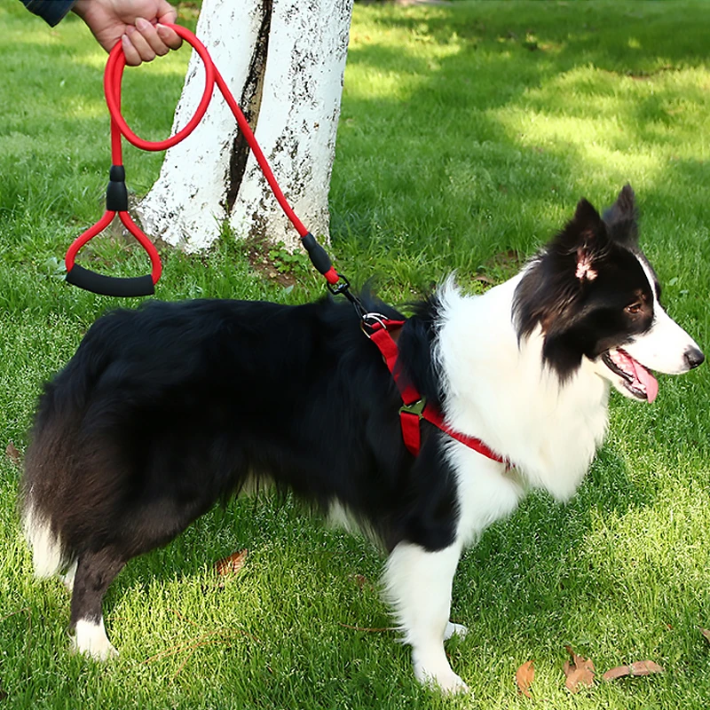 1.2M Dog leash Nylon Pet Leash for dog & cat Running or Training Collar and Harness Tienda de artÃculos para mascotas
1.2M Dog leash Nylon Pet Leash for dog & cat Running or Training Collar and Harness Tienda de artÃculos para mascotas