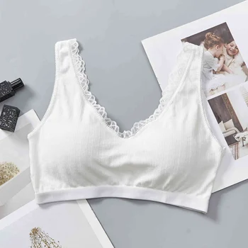 Teenager Girls Simple Deisgn Lingerie Woman Solid Soft Cotton Sports Bra Tops Wire Free Seamless Lace Underwear
Teenager Girls Simple Deisgn Lingerie Woman Solid Soft Cotton Sports Bra Tops Wire Free Seamless Lace Underwear
