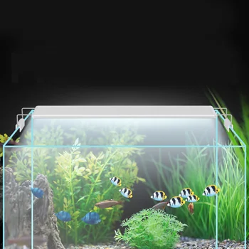 Creative Four Row LED Aquarium Light Aquatic Plant Lighting Waterproof Clip-on Lamp with EU Plug A200 White Blue
Creative Four Row LED Aquarium Light Aquatic Plant Lighting Waterproof Clip-on Lamp with EU Plug A200 White Blue