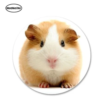HotMeiNi 13cm x 13cm Cute Guinea Pig Vinyl Sticker Laptop Travel Luggage Decal Car Sticker Waterproof Car Accessories
HotMeiNi 13cm x 13cm Cute Guinea Pig Vinyl Sticker Laptop Travel Luggage Decal Car Sticker Waterproof Car Accessories