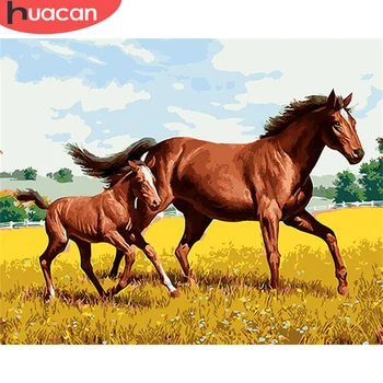 HUACAN Painting By Numbers Horse Drawing On Canvas Hand Painted Paintings Gift DIY Pictures By Number Animals Kits Home Decor
HUACAN Painting By Numbers Horse Drawing On Canvas Hand Painted Paintings Gift DIY Pictures By Number Animals Kits Home Decor