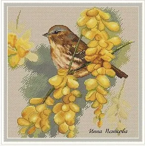 Cross Stitch Set Chinese Cross-stitch Kit Embroidery Needlework Craft Packages Cotton Fabric Floss New Designs Embroidery ZZ622 
Cross Stitch Set Chinese Cross-stitch Kit Embroidery Needlework Craft Packages Cotton Fabric Floss New Designs Embroidery ZZ622