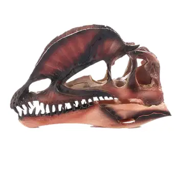 Resin Imitation Dinosaur Skull Model Simulated Dilophosaurus Skeleton Decoration Display Decorative Gift
Resin Imitation Dinosaur Skull Model Simulated Dilophosaurus Skeleton Decoration Display Decorative Gift