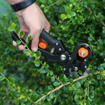 Garden Fruit Tree Pro Pruning Shears Scissor Grafting Cutting Tool Snip Secateur Machine + 2 Blade Garden Tools Set
Garden Fruit Tree Pro Pruning Shears Scissor Grafting Cutting Tool Snip Secateur Machine + 2 Blade Garden Tools Set