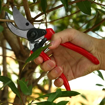 Stainless Steel Pruning Shears with Ergonomic Handle for Tree Trimmering Cut Easily With Best Locking Mechanism TP899
Stainless Steel Pruning Shears with Ergonomic Handle for Tree Trimmering Cut Easily With Best Locking Mechanism TP899