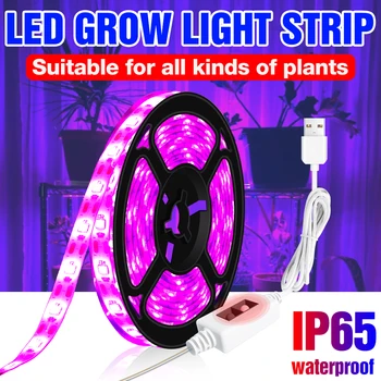 5V LED Grow Light 1M-3M Hand Sweep Sensor LED Flexible Plant Tape Waterproof USB Phyto Lamps For Grow Box Cultivate Plants Seed
5V LED Grow Light 1M-3M Hand Sweep Sensor LED Flexible Plant Tape Waterproof USB Phyto Lamps For Grow Box Cultivate Plants Seed