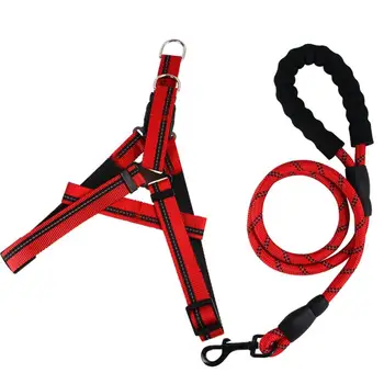 Puppy Dog Leashes Pet Training Leads Collar For Dogs Solid Color Dog Lead Harness Mountain Climbing Rope Dog Belt Pets Supplier
Puppy Dog Leashes Pet Training Leads Collar For Dogs Solid Color Dog Lead Harness Mountain Climbing Rope Dog Belt Pets Supplier