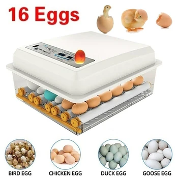 Dreamburgh Eggs Incubator 16 Eggs Automatie Incubatores with Turner for Hatching Goose Quail Chicken Eggs Egg Hatcher Machine
Dreamburgh Eggs Incubator 16 Eggs Automatie Incubatores with Turner for Hatching Goose Quail Chicken Eggs Egg Hatcher Machine