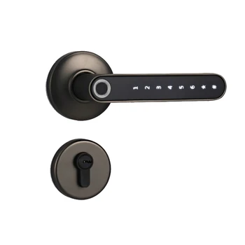 Smart Bluetooth remote control Fingerprint password Lock Electric biometrics Door Lock with mechanical key for wooden metal door
Smart Bluetooth remote control Fingerprint password Lock Electric biometrics Door Lock with mechanical key for wooden metal door