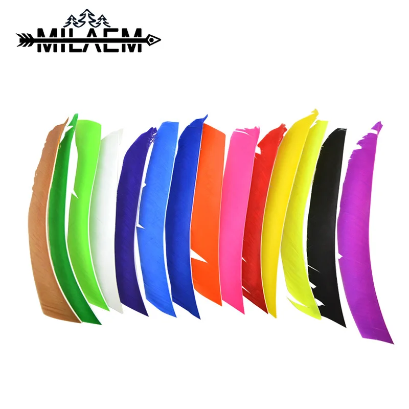 50 pcs 20-29 cm Archery Turkey Feather Left Wing Real Turkey Feather 14 Colors Colorful Arrow Fletching Shooting Hunting
50 pcs 20-29 cm Archery Turkey Feather Left Wing Real Turkey Feather 14 Colors Colorful Arrow Fletching Shooting Hunting