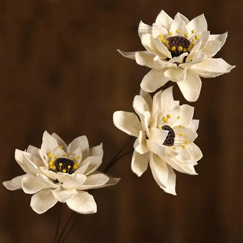1pcs Large Lotus Hibiscus Natural Dried Flower Wedding Decoration Home Party Handmade Decorative Artificial Dried Flowers 85cm
1pcs Large Lotus Hibiscus Natural Dried Flower Wedding Decoration Home Party Handmade Decorative Artificial Dried Flowers 85cm