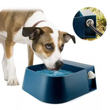 Automatic Float Valve Water Bowl Feeder Dispenser for Sheep Dog Chicken Horse Cow Dog Sheep Goat
Automatic Float Valve Water Bowl Feeder Dispenser for Sheep Dog Chicken Horse Cow Dog Sheep Goat