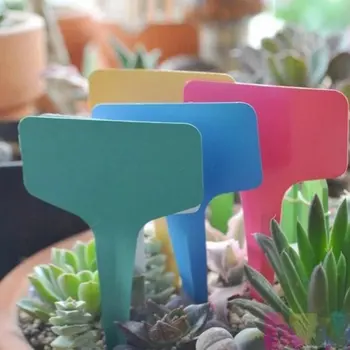 100PCS Markers Labels Nursery Plant Shrubs Seedling Cuttings Card Tag Garden Kit Nursery Garden Stake Tags Tool
100PCS Markers Labels Nursery Plant Shrubs Seedling Cuttings Card Tag Garden Kit Nursery Garden Stake Tags Tool