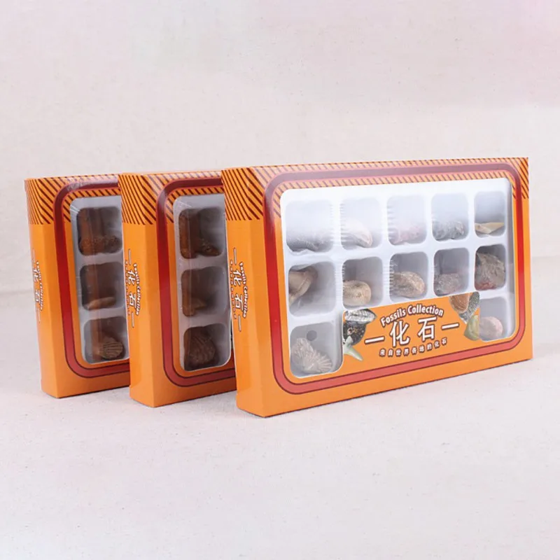 XOC3051 (3)