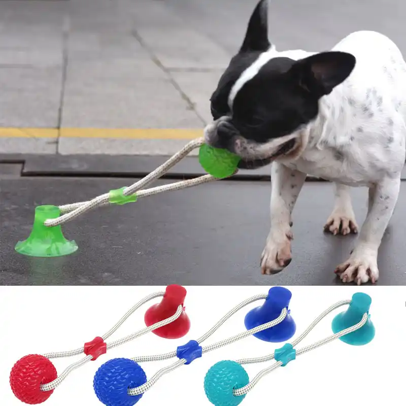 dog pull toy suction cup