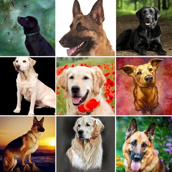 50x50 Diamond Painting Animal Dog Full Square Drill 5D DIY Diamond Embroidery Animals Mosaic Sale Rhinestone Art Home Decor
50x50 Diamond Painting Animal Dog Full Square Drill 5D DIY Diamond Embroidery Animals Mosaic Sale Rhinestone Art Home Decor