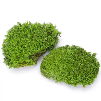 PRESERVED POLE MOSS - BULK BOX - 1sqm - NATURE SPRING GREEN
PRESERVED POLE MOSS - BULK BOX - 1sqm - NATURE SPRING GREEN