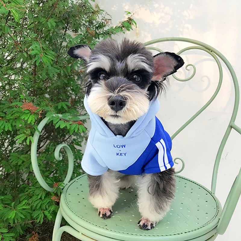 Pet Sweater Cat Dog Clothes Winter Warm Thick Clothes Large Dog Hoodie Costume Autumn Clothing Design Cotton Bulldog
Pet Sweater Cat Dog Clothes Winter Warm Thick Clothes Large Dog Hoodie Costume Autumn Clothing Design Cotton Bulldog