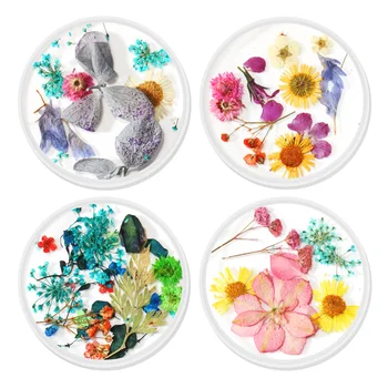 1 Set 4pcs Dried Flower Nail Art Ornament 3D Manicures Dried Flower Decor Nail Accessories Decor (Assorted Color)
1 Set 4pcs Dried Flower Nail Art Ornament 3D Manicures Dried Flower Decor Nail Accessories Decor (Assorted Color)