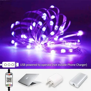 Fairy Lights USB Plug Led String Lights Twinkle Color Changing Bluetooth Music RBG String Light APP Wire Starry Curtains Bedroo
Fairy Lights USB Plug Led String Lights Twinkle Color Changing Bluetooth Music RBG String Light APP Wire Starry Curtains Bedroo