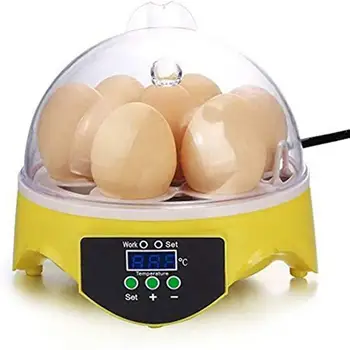 Mini 7 Egg Incubator Poultry Incubator Brooder Digital Temperature Hatchery Egg Incubator Hatcher Chicken Duck Bird Pigeon 1PCS
Mini 7 Egg Incubator Poultry Incubator Brooder Digital Temperature Hatchery Egg Incubator Hatcher Chicken Duck Bird Pigeon 1PCS