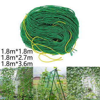 1 * Climbing Frame Net Durable Nylon Trellis Net Support For Climbing Vine Plants Grapevine, Grape Vine, Honeysuckle
1 * Climbing Frame Net Durable Nylon Trellis Net Support For Climbing Vine Plants Grapevine, Grape Vine, Honeysuckle