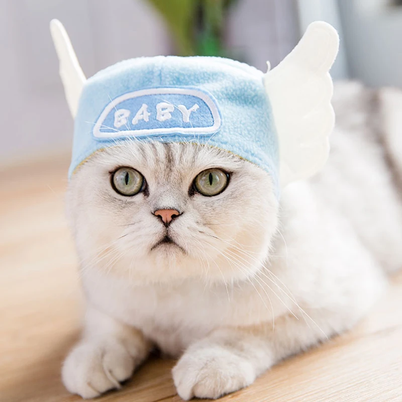 H3cc983154baa417a9966245411d03453h