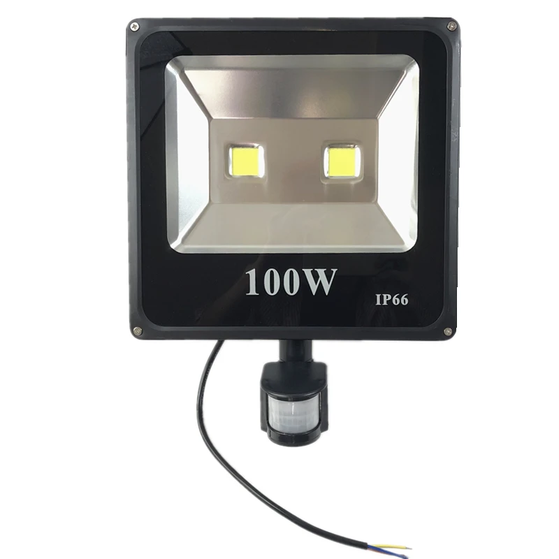 

PIR Led Floodlight 10W 20W 30W 50W 220V Outdoor Spotlight 100W Searchlight With Motion Sensor Professional Lamp Street light