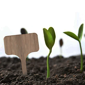 50PCS Board Sign Bamboo Reusable Tags Insert Plant Labels T Type Multi Use Farm Vegetables Garden Markers Landscape Eco Friendly
50PCS Board Sign Bamboo Reusable Tags Insert Plant Labels T Type Multi Use Farm Vegetables Garden Markers Landscape Eco Friendly