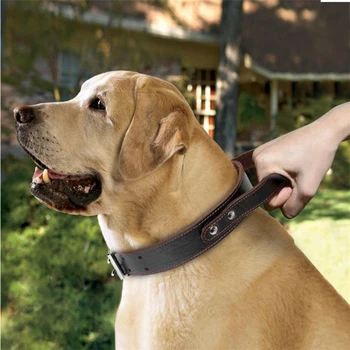 Pet Dog Collar Integrated Short Elastic Dog Leash Reflective Training Collar Quick Control For Rescue Police Force
Pet Dog Collar Integrated Short Elastic Dog Leash Reflective Training Collar Quick Control For Rescue Police Force