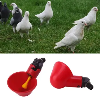 Poultry Automatic Water Drinking Cup Bird Hen Chicken Drinker Coop Feeder Bowl X4YE
Poultry Automatic Water Drinking Cup Bird Hen Chicken Drinker Coop Feeder Bowl X4YE