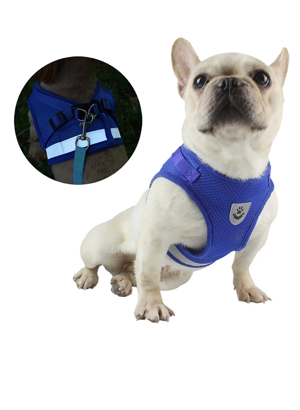 Cute Reflective Safety Pet Dog Harness and Leash Set for Small Medium Dogs Cat Harnesses Vest Puppy Chest Strap Pug Chihuahua
Cute Reflective Safety Pet Dog Harness and Leash Set for Small Medium Dogs Cat Harnesses Vest Puppy Chest Strap Pug Chihuahua
