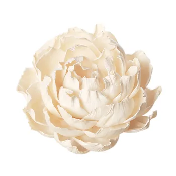 5PCS/set Plant Aromatherapy Sola Flower Home Decoration Simulation Flower for Reed Diffuser
5PCS/set Plant Aromatherapy Sola Flower Home Decoration Simulation Flower for Reed Diffuser