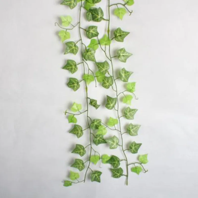 Lizard Reptile Vine Climber Flexible Amphibian Artificial Fake Hanging Vine Plants 2M Realistic
Lizard Reptile Vine Climber Flexible Amphibian Artificial Fake Hanging Vine Plants 2M Realistic