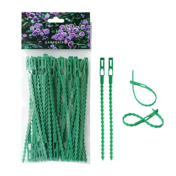 50Pcs/pack Plant Support Clips Reusable Fish Bone Belt Garden Plastic Plant Belt Ties Tomato Hanging For Greenhouse Vegetable 
50Pcs/pack Plant Support Clips Reusable Fish Bone Belt Garden Plastic Plant Belt Ties Tomato Hanging For Greenhouse Vegetable