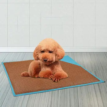 Summer Bite-Resistant Dog Cat Mat Sleeping Floor Nest Breathable Dehumidified Pet Cool Mat Pet Sleeping Mat Pets Dogs Animal Pad
Summer Bite-Resistant Dog Cat Mat Sleeping Floor Nest Breathable Dehumidified Pet Cool Mat Pet Sleeping Mat Pets Dogs Animal Pad