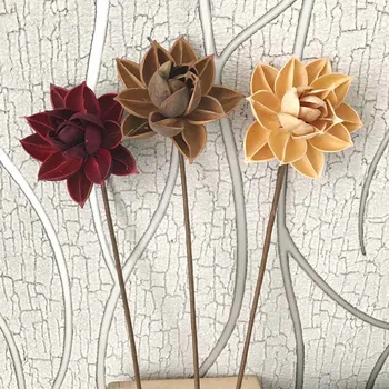 10CM Head,Real Natural Dried Pressed Lotus Flower,Decorative Handmade Water Lily Flower Branch,Decoration For Home,Living Room
10CM Head,Real Natural Dried Pressed Lotus Flower,Decorative Handmade Water Lily Flower Branch,Decoration For Home,Living Room