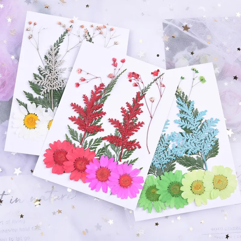 Dried Flowers Dry Plants Resin Mold UV Expoxy Filling For Nail Art Pressed Flowers For Making Craft DIY Decor Accessories
Dried Flowers Dry Plants Resin Mold UV Expoxy Filling For Nail Art Pressed Flowers For Making Craft DIY Decor Accessories