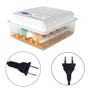 2020 New 220V Eggs Incubator Brooder Birds Quail Chick Hatchery Poultry Hatcher Turner
2020 New 220V Eggs Incubator Brooder Birds Quail Chick Hatchery Poultry Hatcher Turner