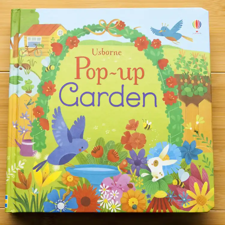 flap picture books flip intresting forest children kids reading