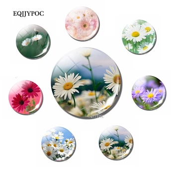 Daisy Flower Sticker Magnetic 30MM Glass Glass Natural Scenery Fridge Magnet for Refrigerator Leave Message for Home Decor
Daisy Flower Sticker Magnetic 30MM Glass Glass Natural Scenery Fridge Magnet for Refrigerator Leave Message for Home Decor