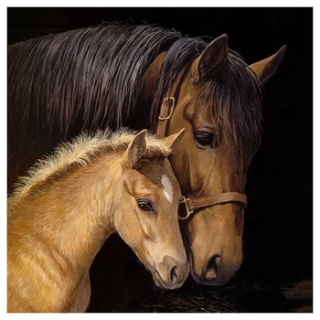 Round Drill 5D DIY Diamond Painting "Animal Horse" 5D Embroidery Cross Stitch Home Wall Decor Gift
Round Drill 5D DIY Diamond Painting "Animal Horse" 5D Embroidery Cross Stitch Home Wall Decor Gift