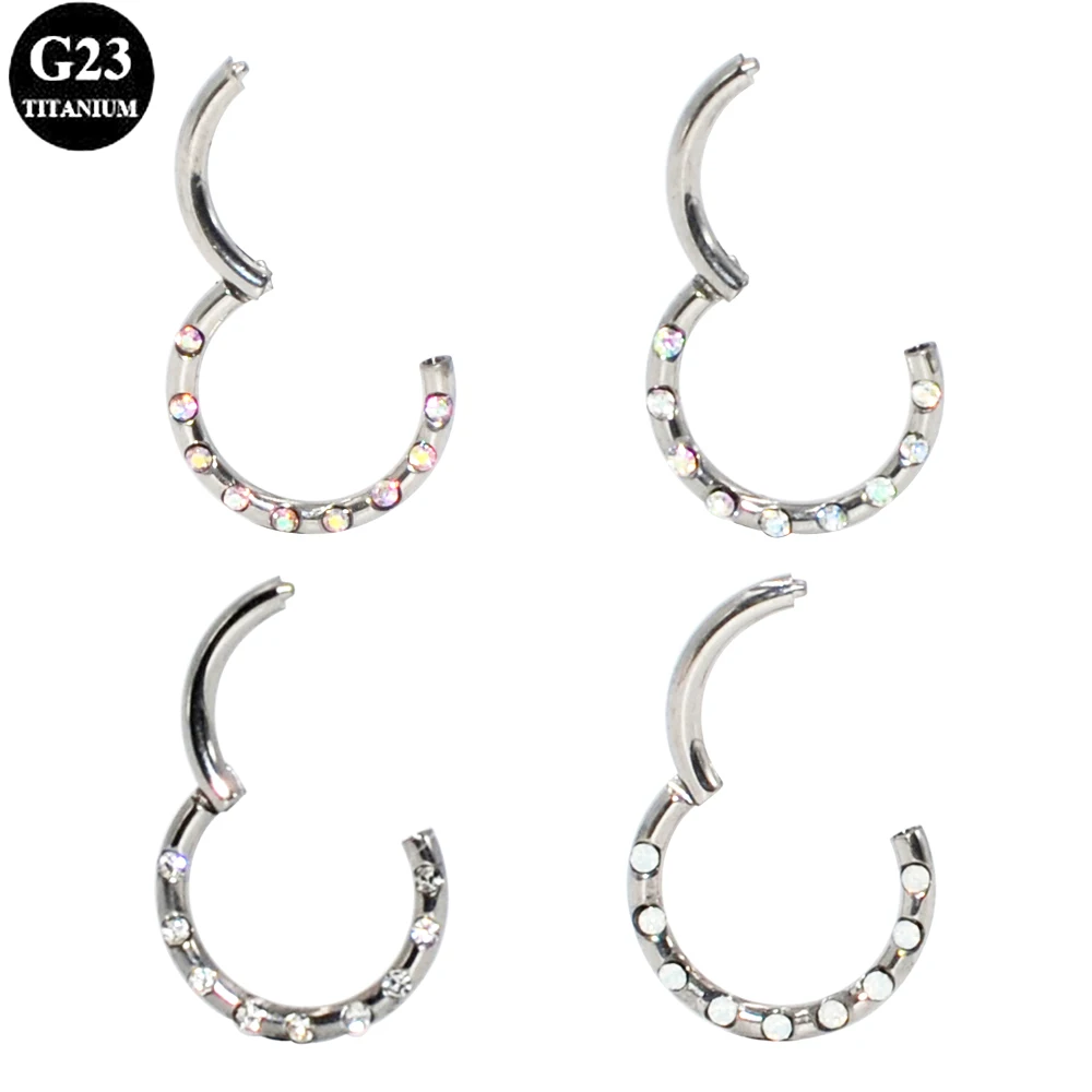 G23 Titanium Hinge Segment Nose Ring CZ Septum Nose Clicker Ear Helix Cartilage Tragus Hoop Lip Earring Piercing Jewelry
G23 Titanium Hinge Segment Nose Ring CZ Septum Nose Clicker Ear Helix Cartilage Tragus Hoop Lip Earring Piercing Jewelry