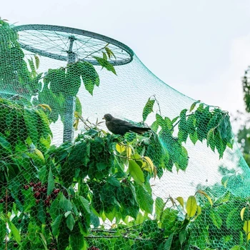 Multifunction Plants Anti Bird Protection Net With Pegs Patio Fruit Trees Easy Install Outdoor Garden Backyard Mesh Netting
Multifunction Plants Anti Bird Protection Net With Pegs Patio Fruit Trees Easy Install Outdoor Garden Backyard Mesh Netting
