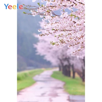 Spring Pink Flower Branch Nature Scenery Baby Portrait Vinyl Backdrop Photography Background For Photo Studio Photophone Shoot
Spring Pink Flower Branch Nature Scenery Baby Portrait Vinyl Backdrop Photography Background For Photo Studio Photophone Shoot