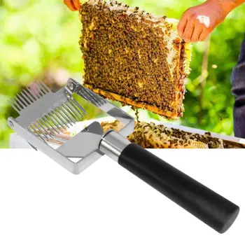 Multifunctional Stainless Steel Double Needles Beekeeping Tool Plastic Handle Uncapping Fork Bee Honey Shovel Honeycomb Scraper
Multifunctional Stainless Steel Double Needles Beekeeping Tool Plastic Handle Uncapping Fork Bee Honey Shovel Honeycomb Scraper