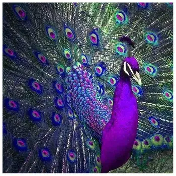Icon Diamond Embroidery Peacock Crystal 5D Cross Stitch Full Square Drill Diamond Painting DIY Sticker Decor Paintings
Icon Diamond Embroidery Peacock Crystal 5D Cross Stitch Full Square Drill Diamond Painting DIY Sticker Decor Paintings